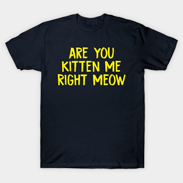 Are You Kitten Me Right Meow Funny Cat Jokes T-Shirt by TIHONA